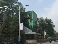 合作单位